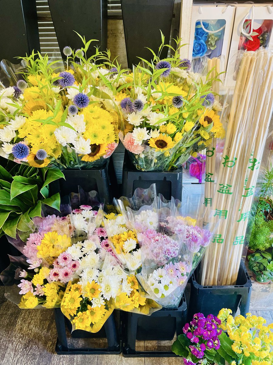 FlowerS48901380's tweet photo. 🌼お盆のお花・お供え用品を取り揃えております🌼ご先祖様への感謝の気持ちを込めて、お花をご用意しませんか😊お供え用花束🌼お供えアレンジメント🪷お供えシャボンフラワー、お盆用品（おがら・お盆セットなど）ほおずきは数量限定です‼️ご来店お待ちしております #お盆 #花屋 #水元 #近くの花屋 https://t.co/OmPbzmUl93