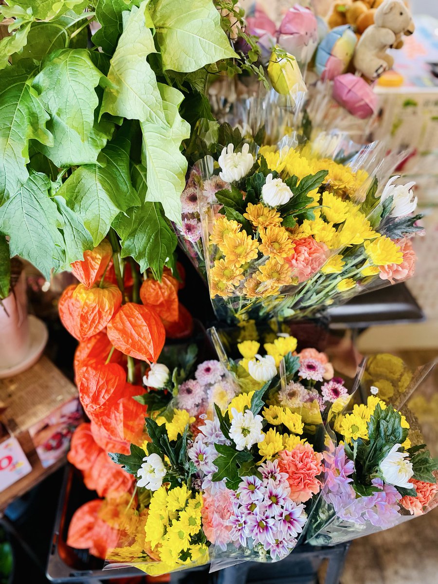 FlowerS48901380's tweet photo. 🌼お盆のお花・お供え用品を取り揃えております🌼ご先祖様への感謝の気持ちを込めて、お花をご用意しませんか😊お供え用花束🌼お供えアレンジメント🪷お供えシャボンフラワー、お盆用品（おがら・お盆セットなど）ほおずきは数量限定です‼️ご来店お待ちしております #お盆 #花屋 #水元 #近くの花屋 https://t.co/OmPbzmUl93