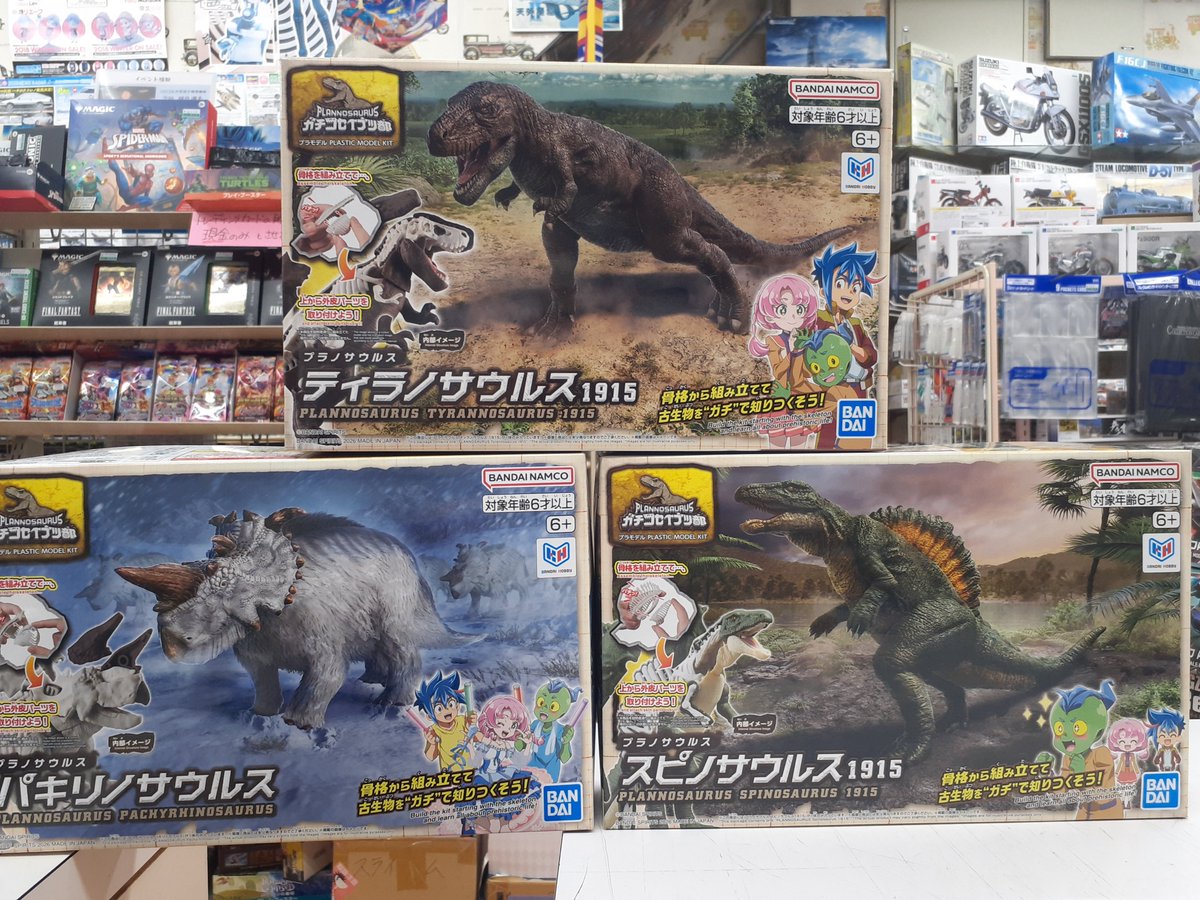 入荷商品】 本日の入荷商品です。