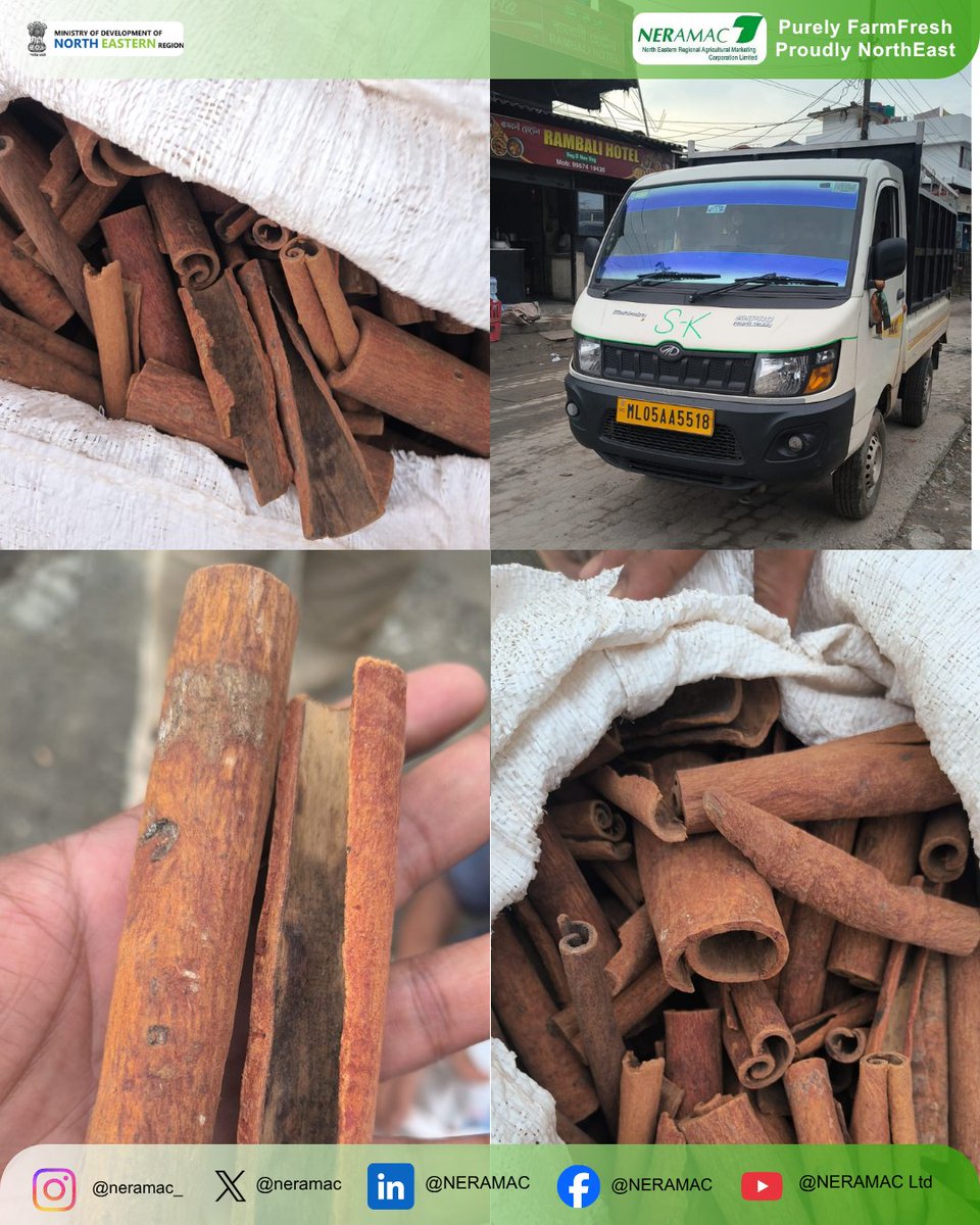 neramac's tweet photo. (1/3)From the hills of Chandel, Manipur to the markets of Guwahati!
The NERAMAC–NERACE team successfully procured 500 kg of 4-inch cut-roll cinnamon from Chandel district, Manipur, and facilitated its sale in Guwahati. https://t.co/OCI3bzFxZm