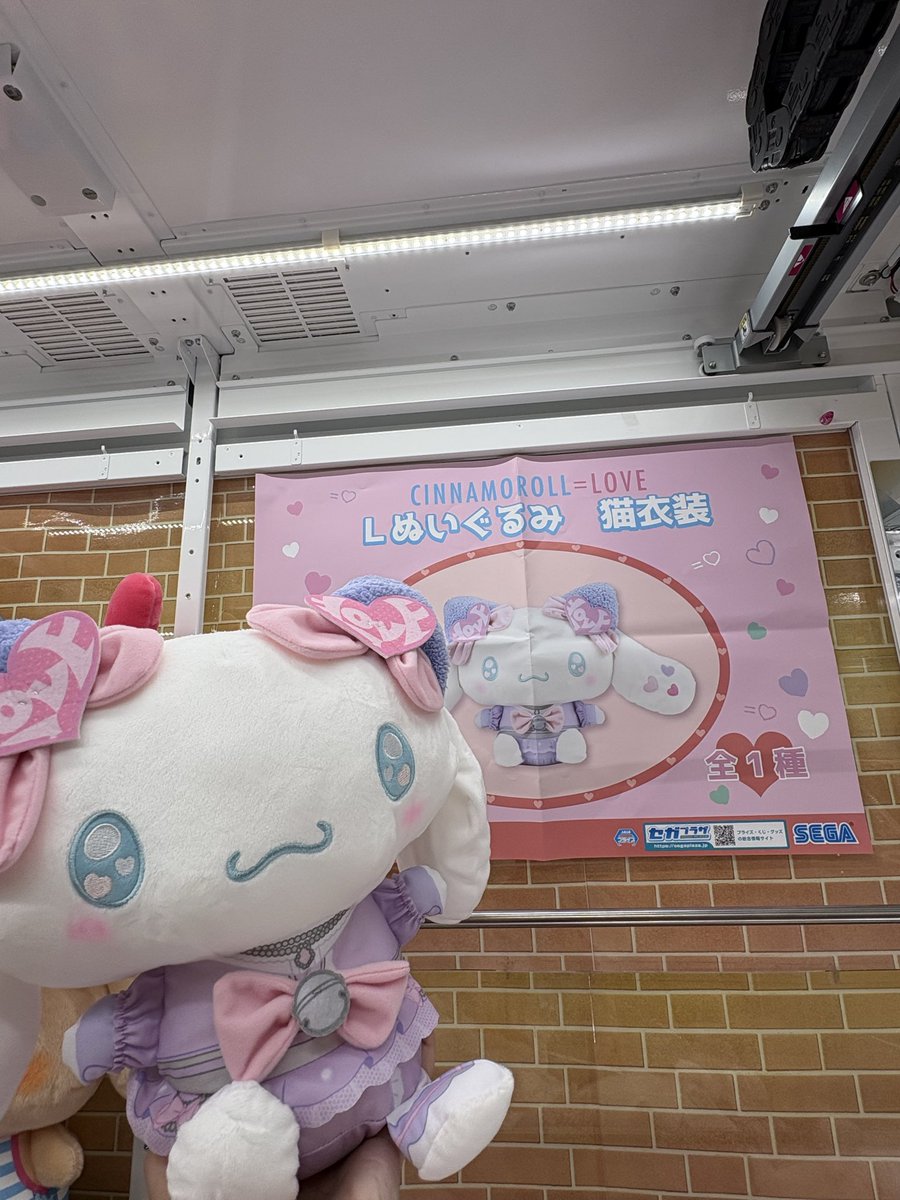 otachu_hitachi's tweet photo. ⭐️景品入荷情報⭐️

シナモロールメ＝LOVE 
Lぬいぐるみ
猫衣装

サンリオキャラクターズ
くりっぴいぬいぐるみ
〜こんがり日焼けvol.1〜

サンリオキャラクターズ
くりっぴいぬいぐるみ
〜こんがり日焼けvol.2〜

入荷しました！！ https://t.co/3wpRL114J0