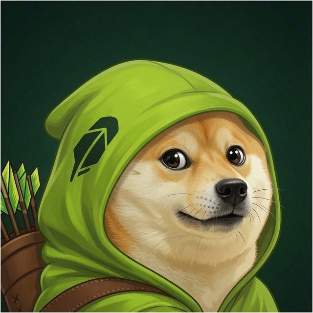satoshichick_'s tweet photo. From introducing so many people to crypto to reaching Robinhood Chain what a journey for @Dogeonhood https://t.co/gaGlrfQSiG