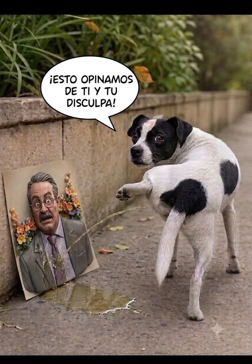 Cazarex's tweet photo. @tiopedritosola Nche disculpa pedorra igual el viejo sabandija https://t.co/mrds21JdWn
