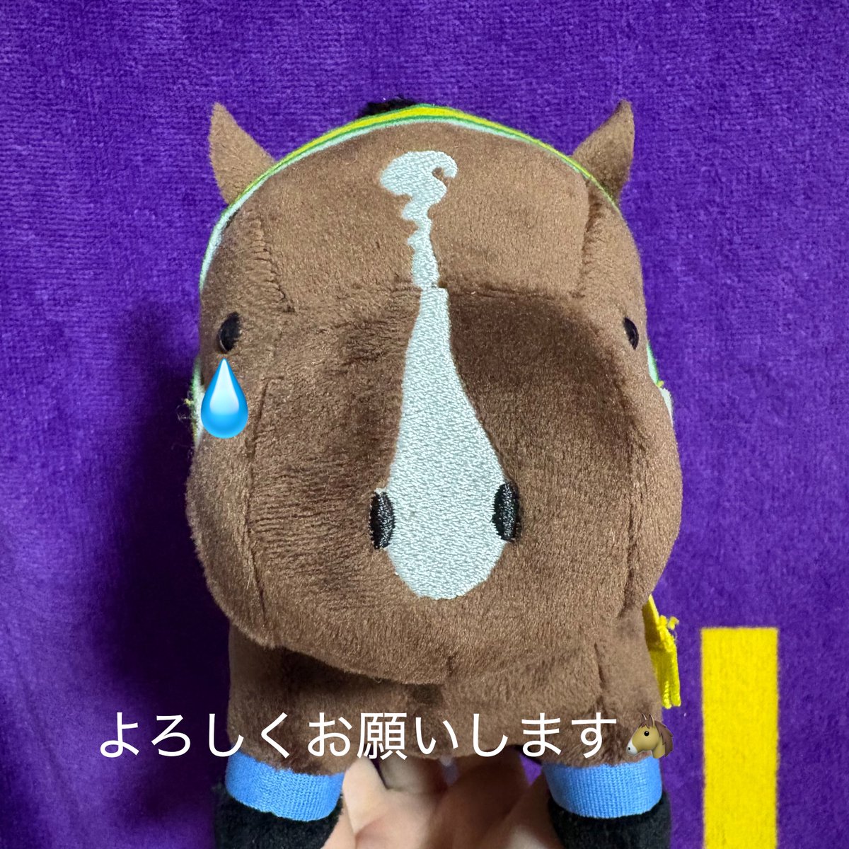 re_umauma's tweet photo. 受注生産が可能であればそうしていただきたいです。
希望者に行き渡るだけでなく、転売は無駄だという示しもつきます。

次回はサラコレが大好きな人たちの手に渡りますように🐴 https://t.co/yDLeglM1Yb