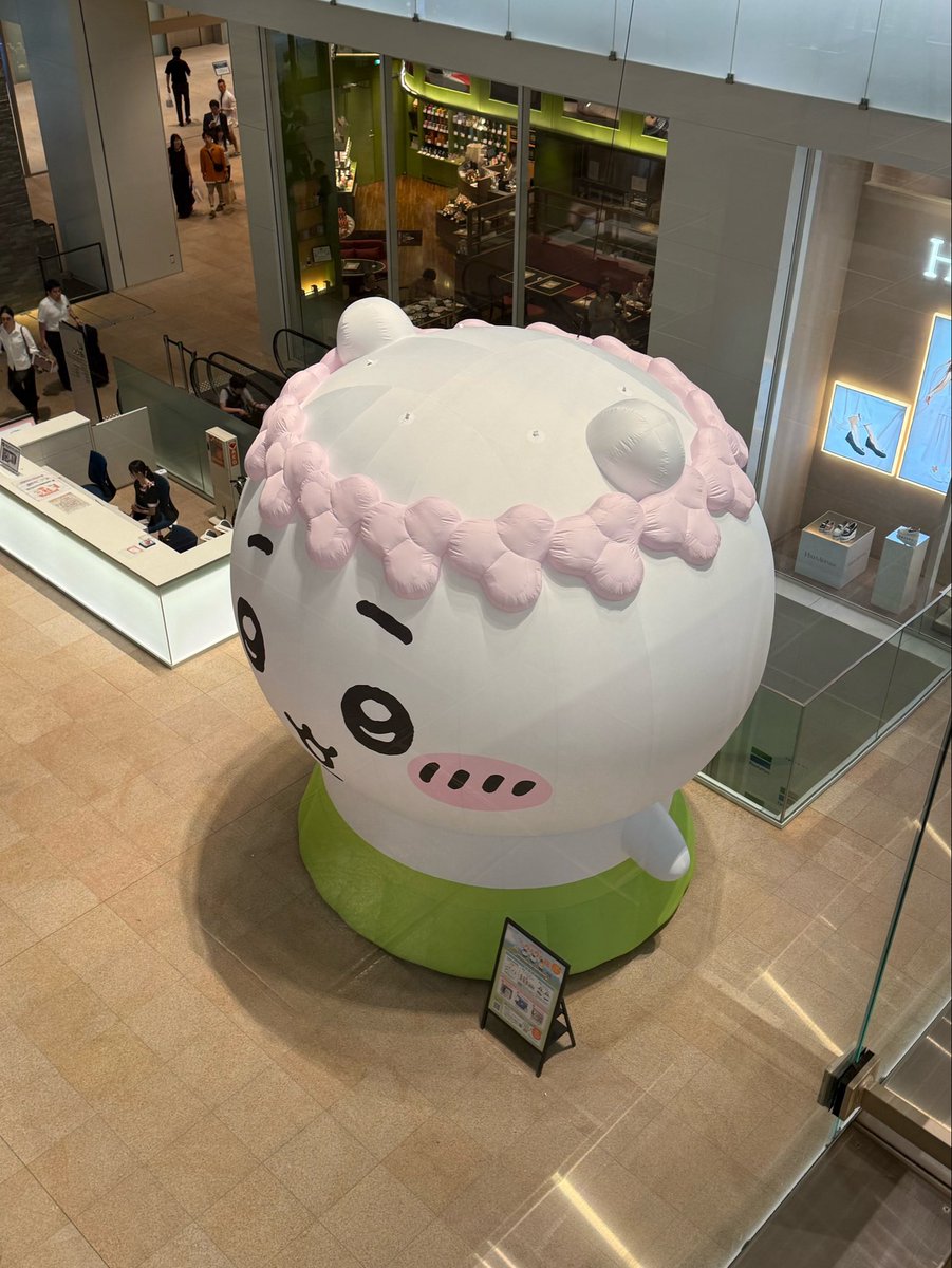 393alf22's tweet photo. さすが大阪。ちいかわが小さくない。 https://t.co/xWzJI7rFhb