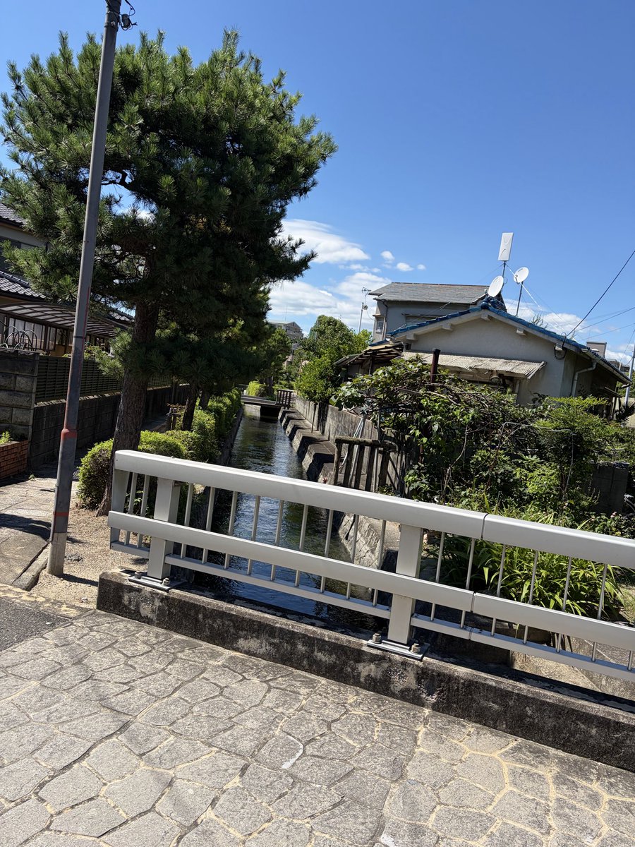 tabunn_kinpak's tweet photo. 夏の色が好き https://t.co/30yYCET01x