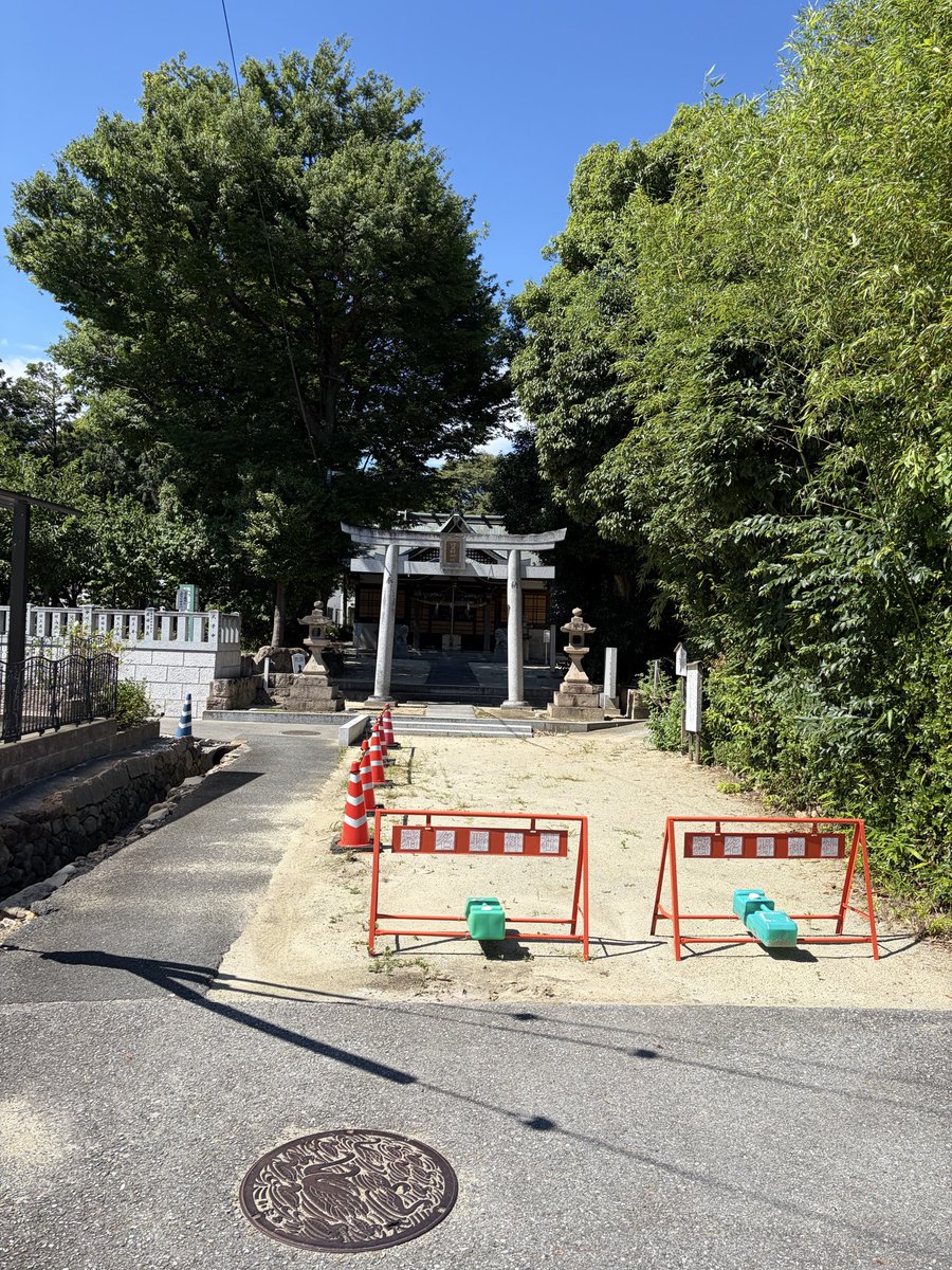 tabunn_kinpak's tweet photo. 夏の色が好き https://t.co/30yYCET01x