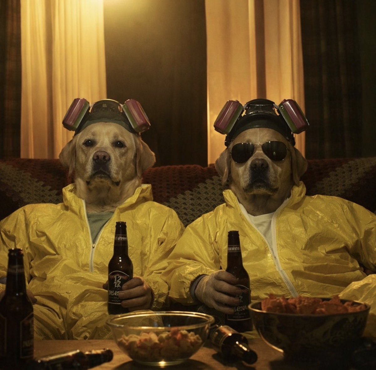 The Crypto Dog Meme Official tweet media