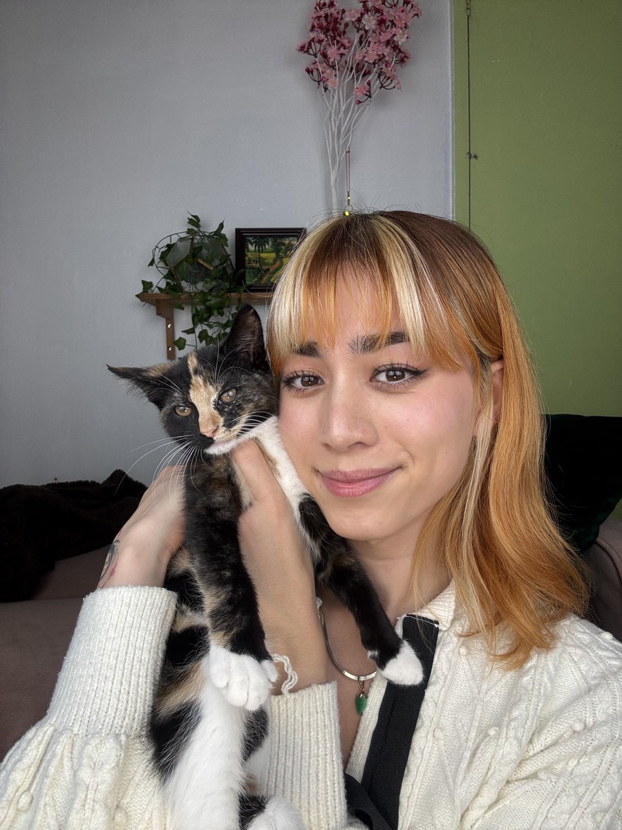 PADA_44's tweet photo. she’s so tiny like a little plushie https://t.co/ny1jILRner
