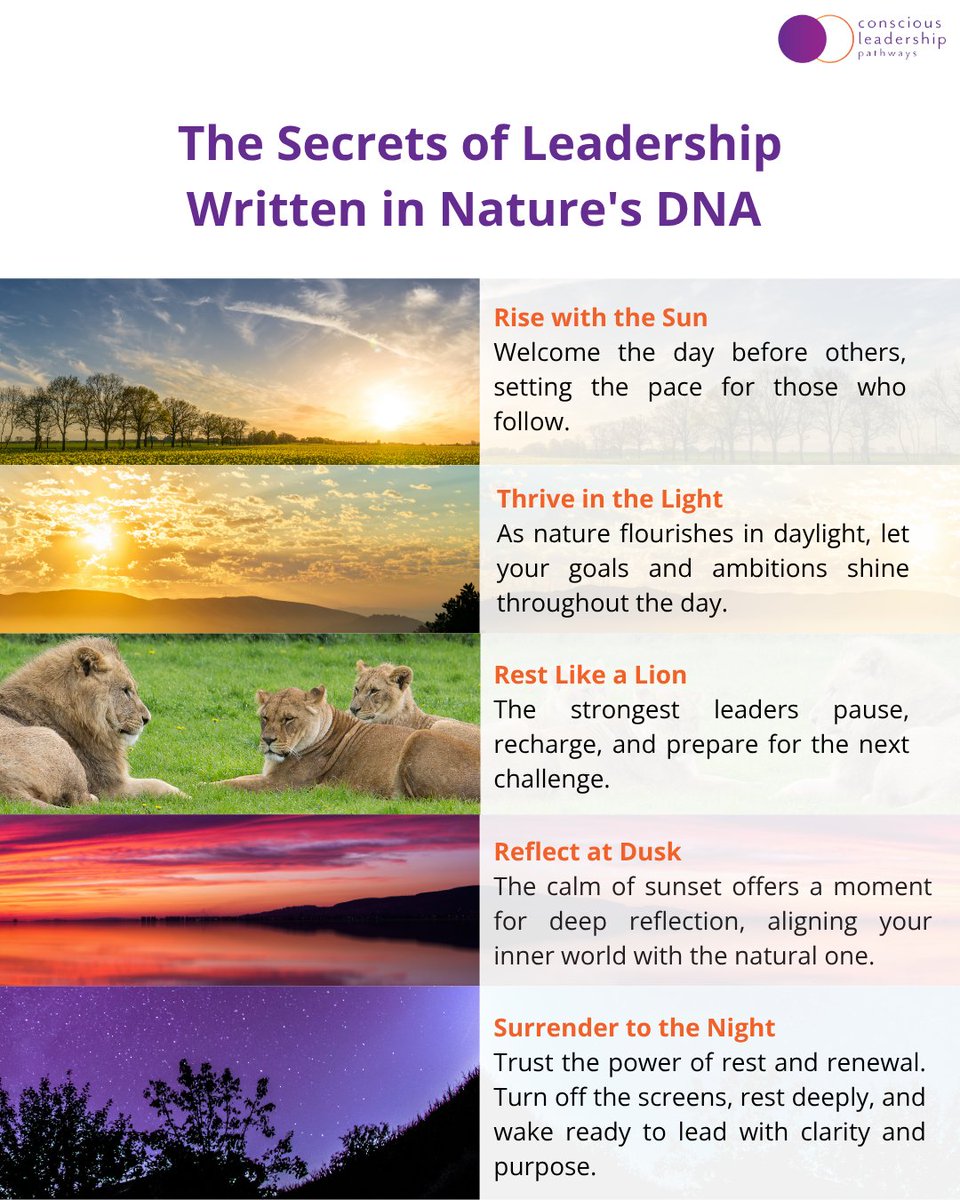 ConsciousLP123's tweet photo. Leadership follows nature's rhythms. When we align with them, we lead with greater clarity, balance, and purpose. What if slowing down is the key to moving forward? 🌅

More insights in the Clpathways blog⬇️ https://t.co/uIhqhuBsSt 

#ConsciousLeadership #MindfulLeadership https://t.co/yztDjiJa7W