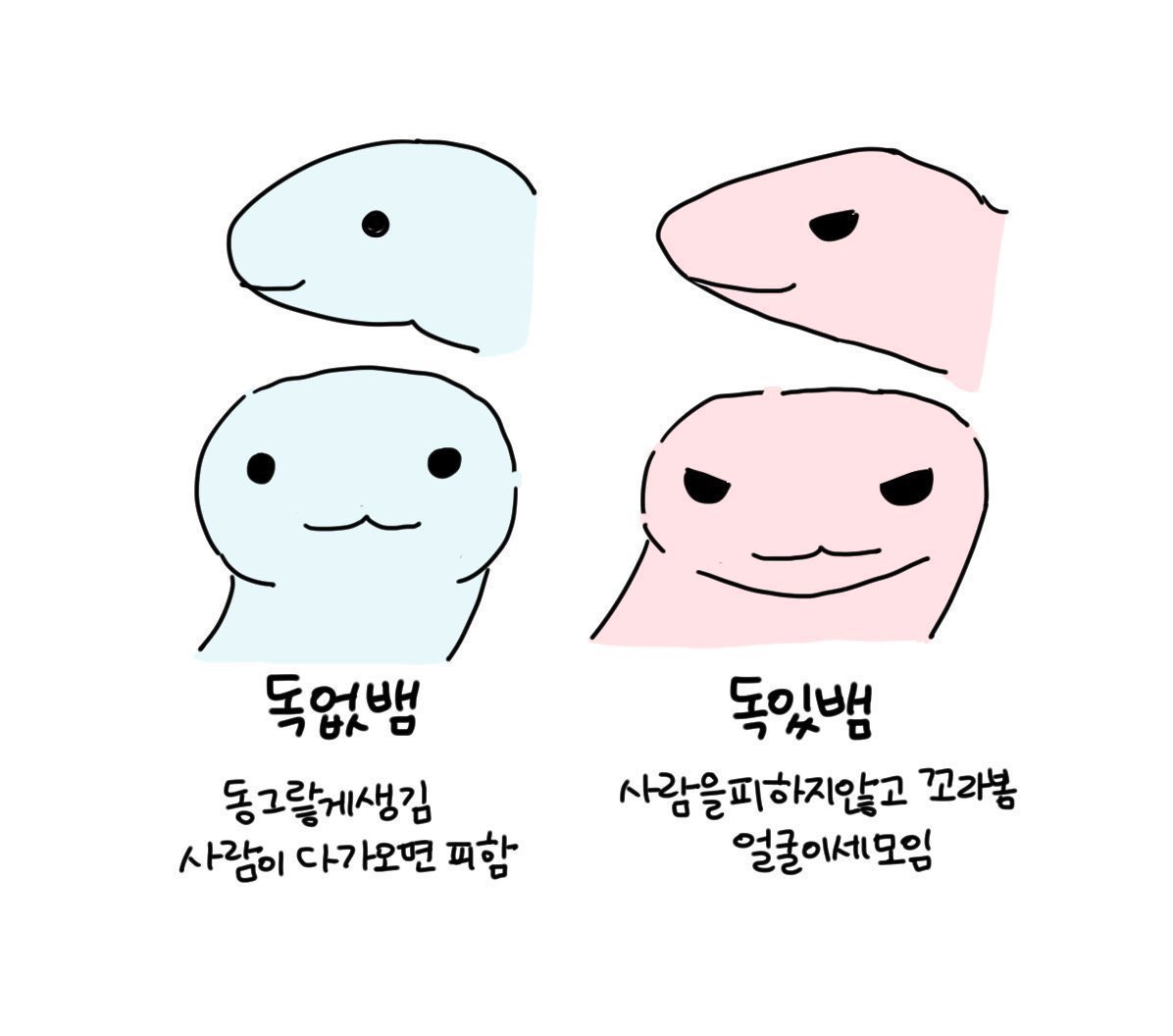 GGOLiM1's tweet photo. 독없뱀 뭔데~ https://t.co/6ttVSEBSTt