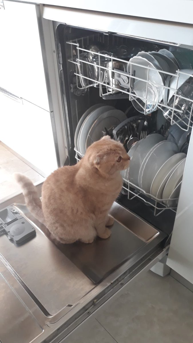 Rookie0644's tweet photo. En çok da yağmur yağdığında seviyorum bu şehri; herkesin yüzü ıslak, başı öne eğik,sanki herkes suçunu kabullenmiş gibi..!
Gününüz Aydın Olsun https://t.co/7T29B0MiqL