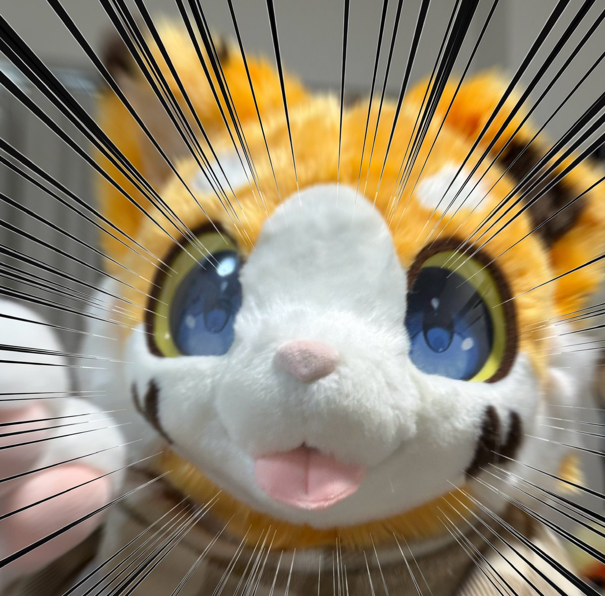 あああああああ わあああああああああああ