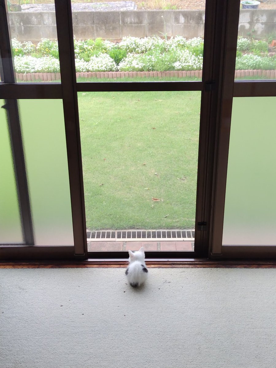 ROkUHANA00 tweet picture