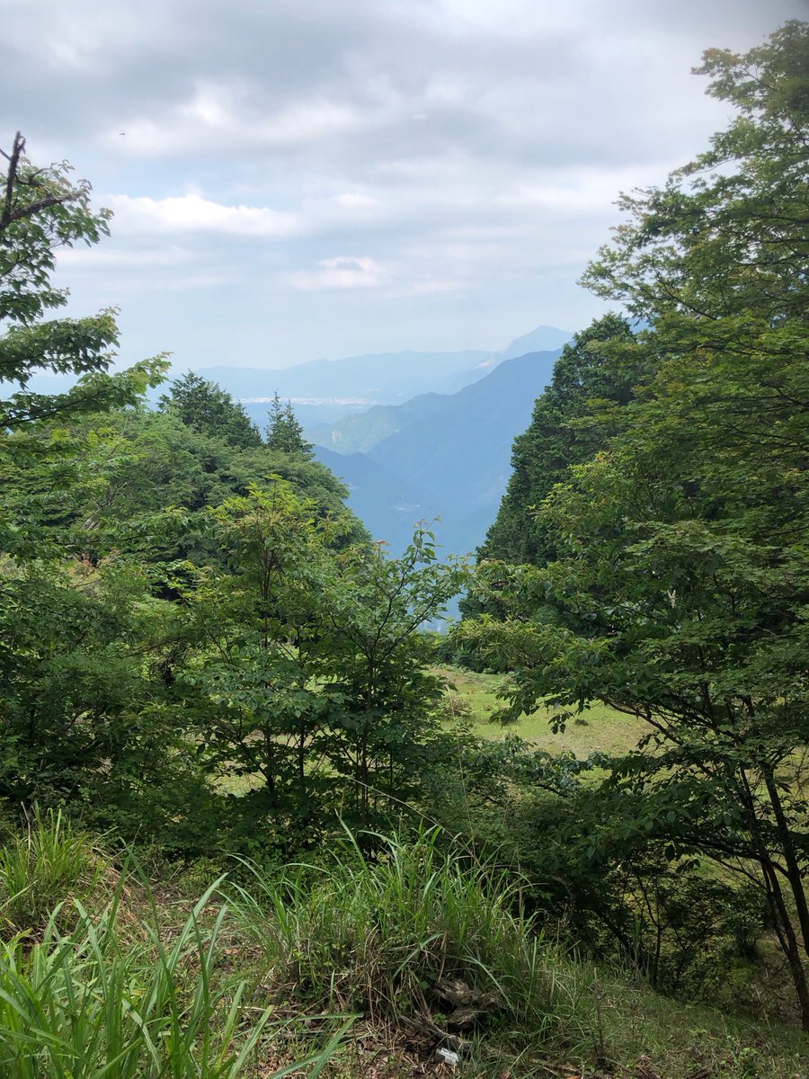 HakuJP's tweet photo. 神社の山 https://t.co/Dlixt7Xls1