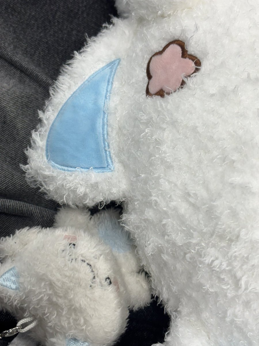_luviro's tweet photo. 아~!! 털날려♡ https://t.co/0dBWWWmHmG