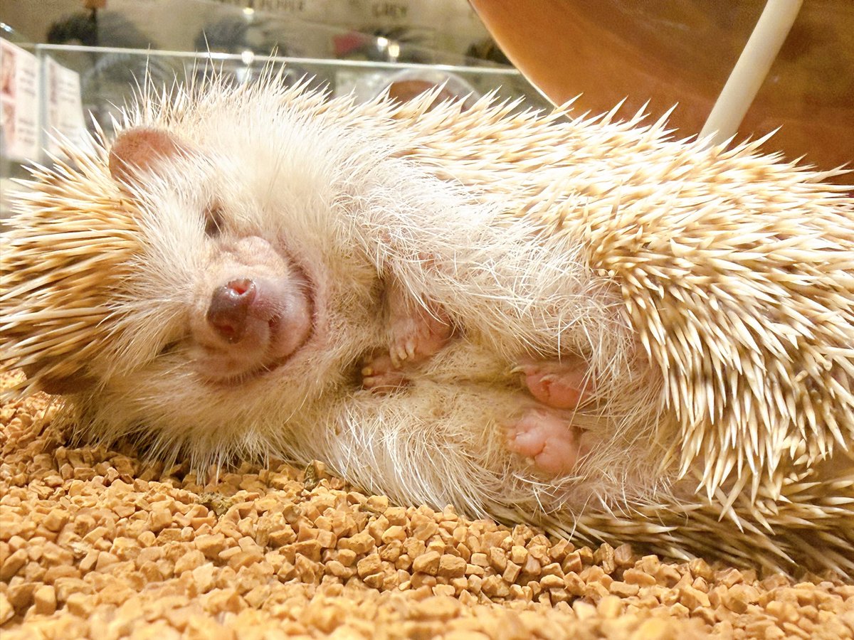 ムギュッ😚 ただいまのお時間ゆっくりお過ごしいただけます🌻 お気軽に