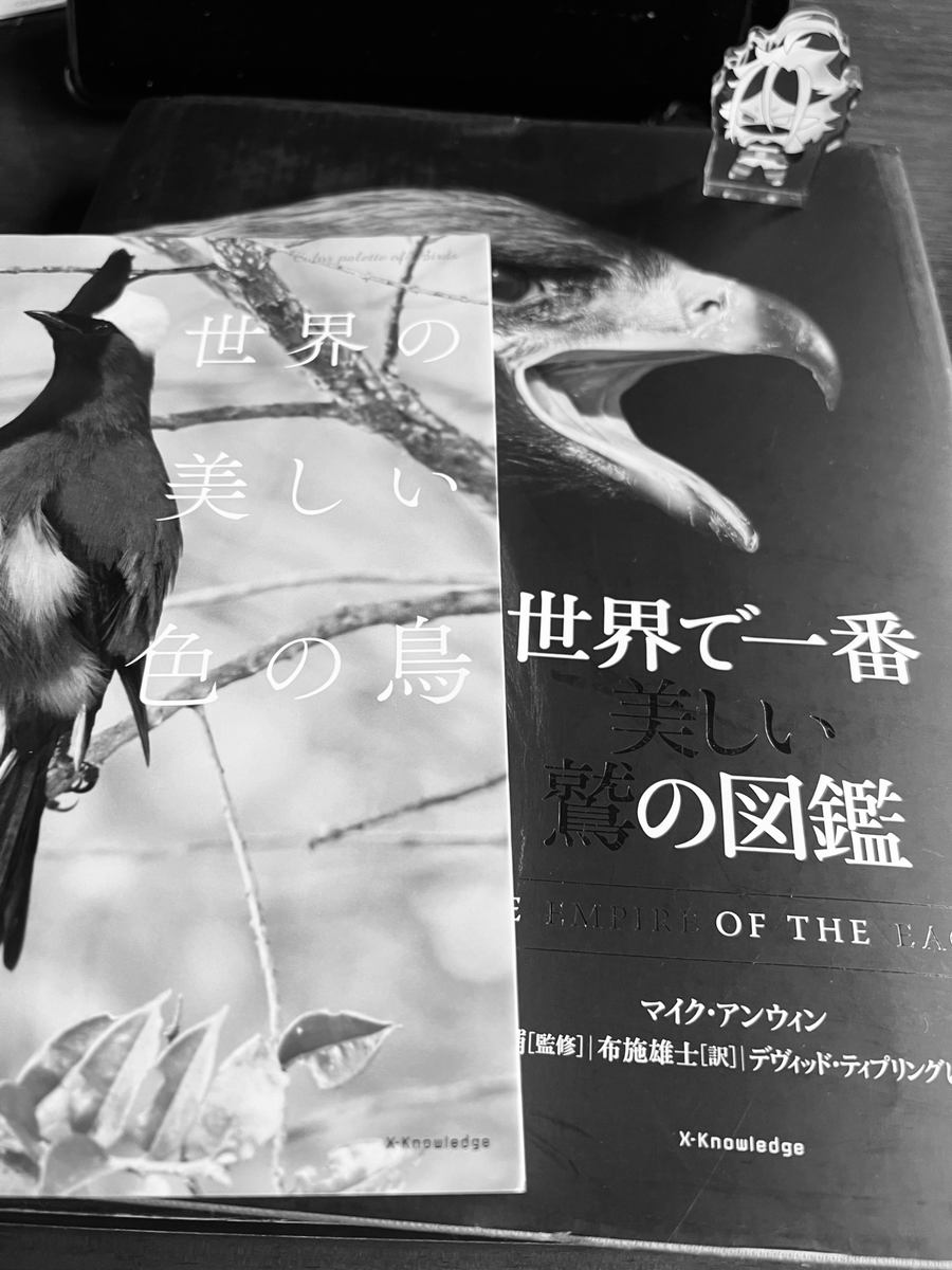 ununc's tweet photo. プライムデーセールだったので先行で色々頼んでいた…分厚い良い… https://t.co/9SYBYD3lGY