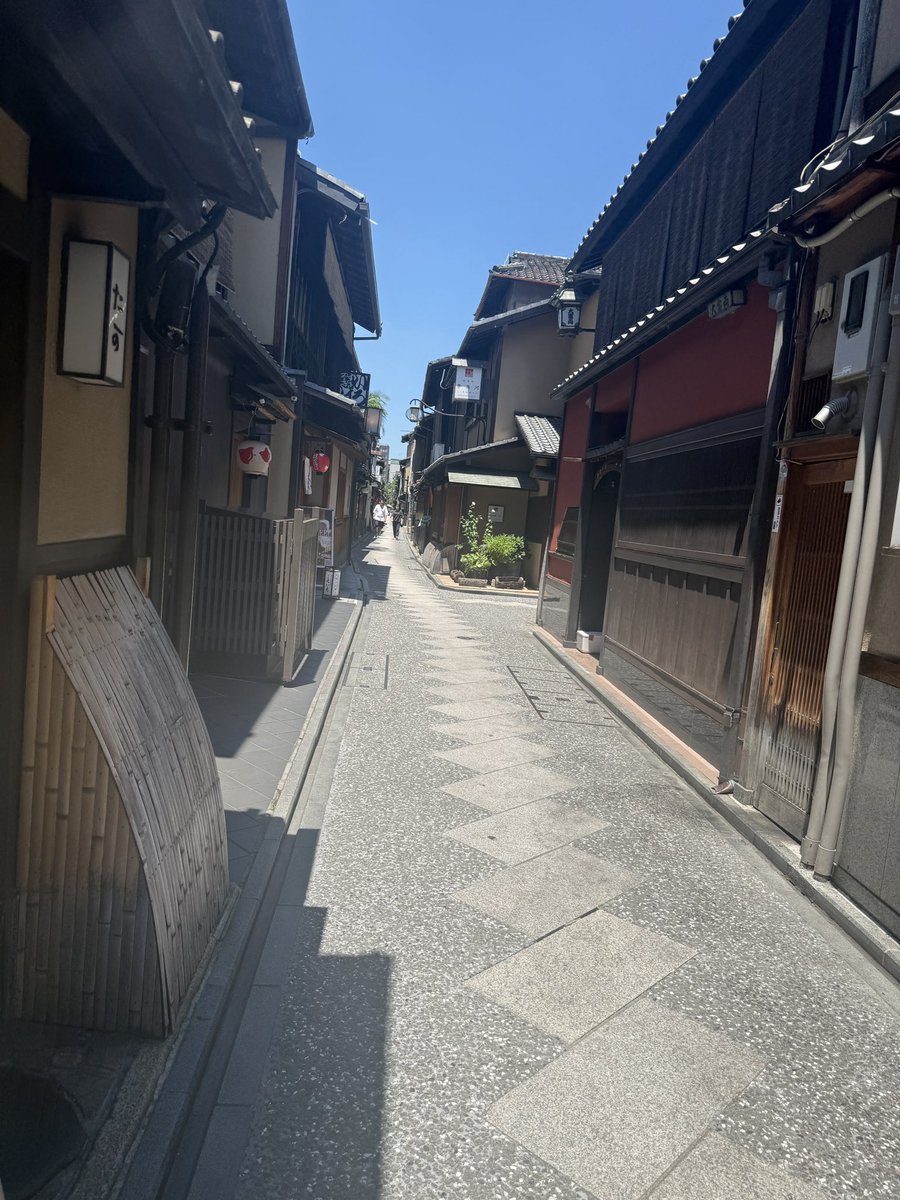 rise_start's tweet photo. 京都に前日入り！！
やっぱり鴨川の近くいいなぁ〜

そして全然動かない鳥がいた😮 https://t.co/S9h4DGCsps