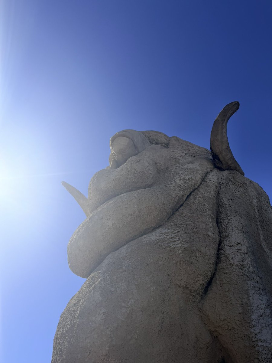Jessica_Radic's tweet photo. Idk why, but I love this photo I took of the big ram in Goulburn, looks like he’s aura farming https://t.co/MypIhRRq6h
