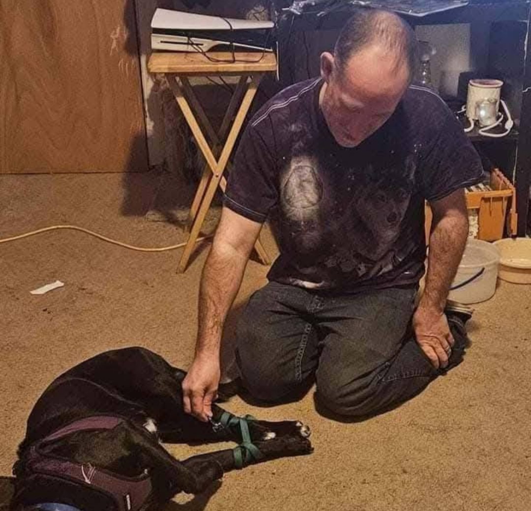 ButlerShamePA's tweet photo. Philip Anthony Rienzi abuses animals and has killed many. Also uses Google photos claiming he has dead children when his only child was taken away before she even left the hospital. https://t.co/aqz4bgnAH4