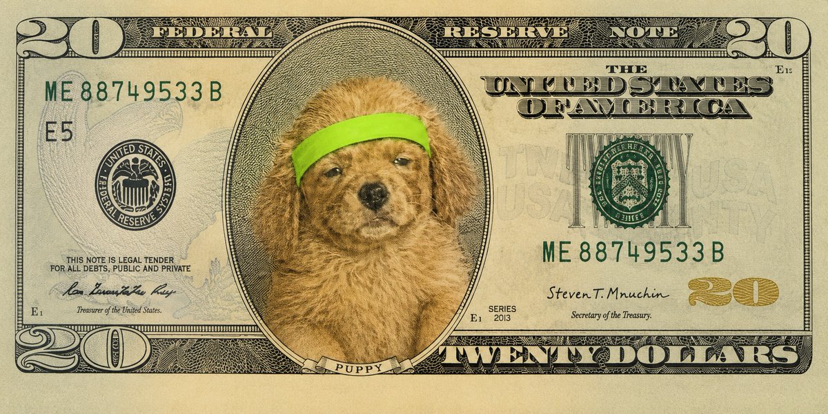 AlbertMacGloan's tweet photo. would that put $robin at $20 per token? https://t.co/957EnVJo9b
