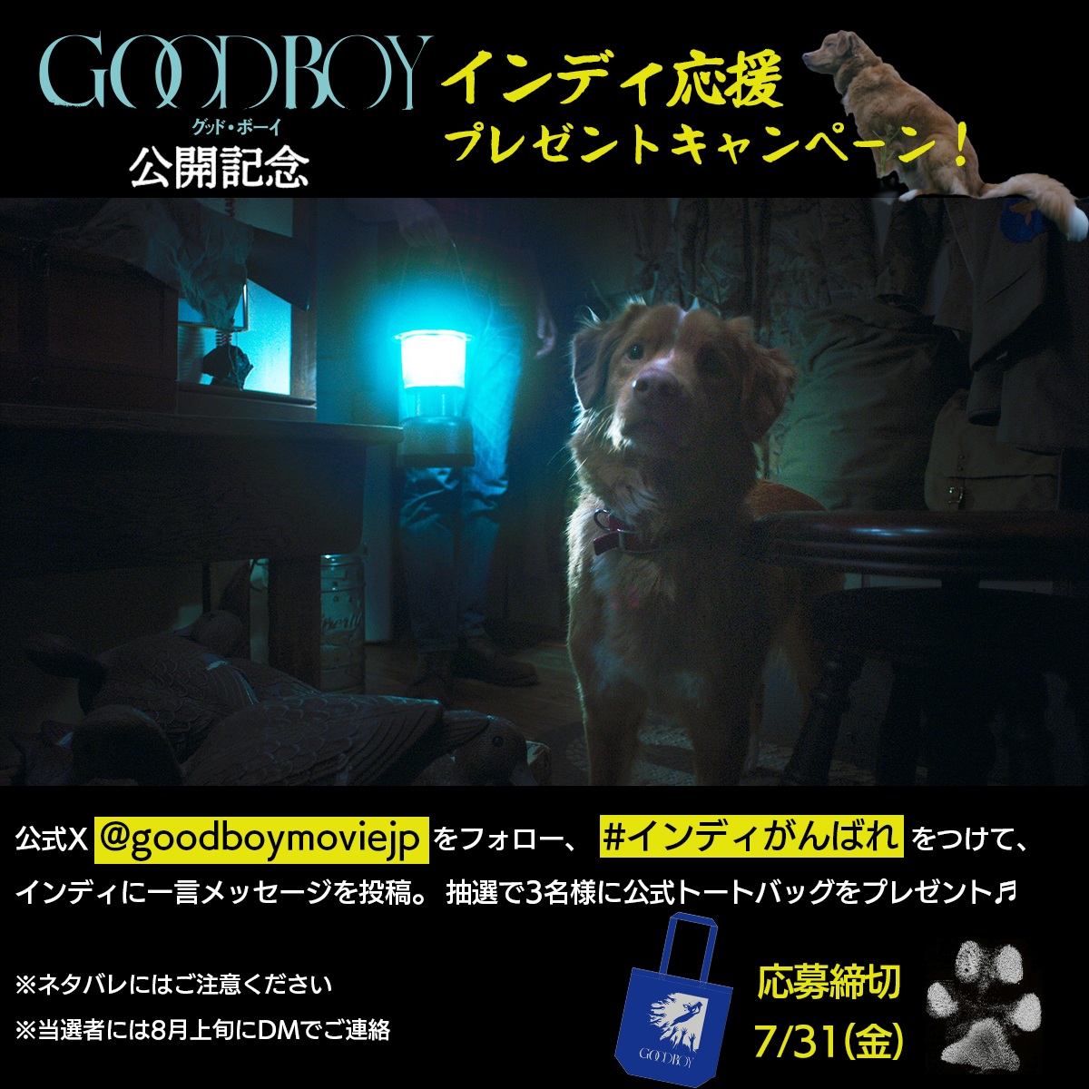 goodboymoviejp's tweet photo. 『GOOD BOY／グッド・ボーイ』公開記念インディ応援プレゼントキャンペーン！

公式トートバッグを抽選で3名様にプレゼント♬
応募方法：本公式Ｘをフォロー＆ハッシュタグ「#インディがんばれ」を付けて、インディに一言メッセージを投稿。〆切：7/31

＊ネタバレにはご注意ください
＊当選者には8月上旬にDMでご連絡