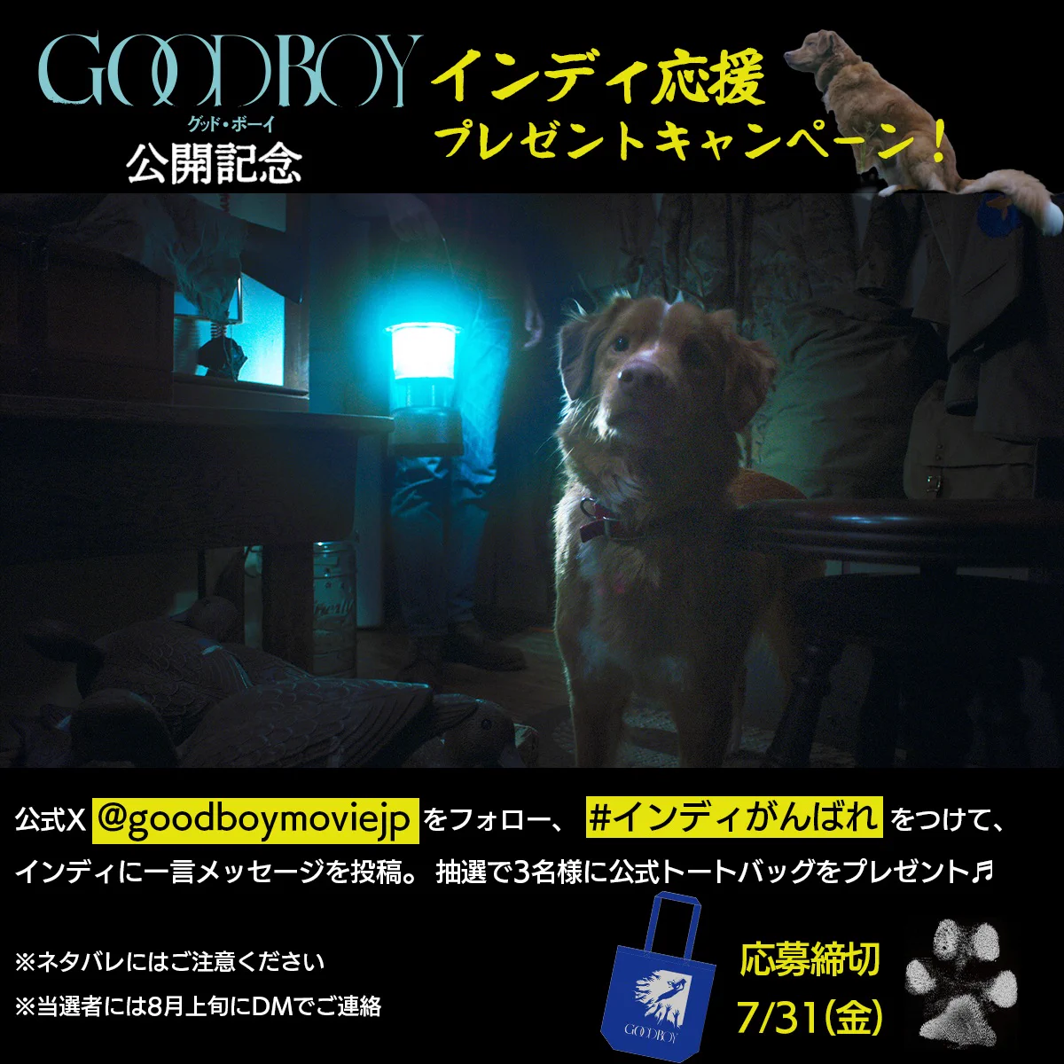 映画『GOOD BOY/グッド・ボーイ』7/10公開 (@goodboymoviejp) / X