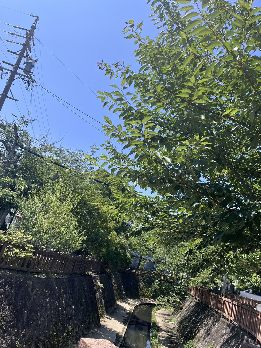 cutiecoco37's tweet photo. お店までの道
毎回どの道にしようかと
楽しみになる♪
駐車場は無いけれど
歩くのを楽しめる場所です♡ https://t.co/j2lq1E8Ind