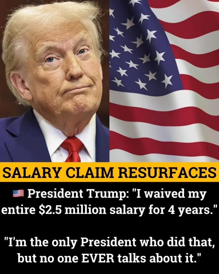 Stornoway_Cove's tweet photo. Another day, another lie…

Go away.

Even better, just resign.

You let your country down every single day. https://t.co/xidGTPQlOd