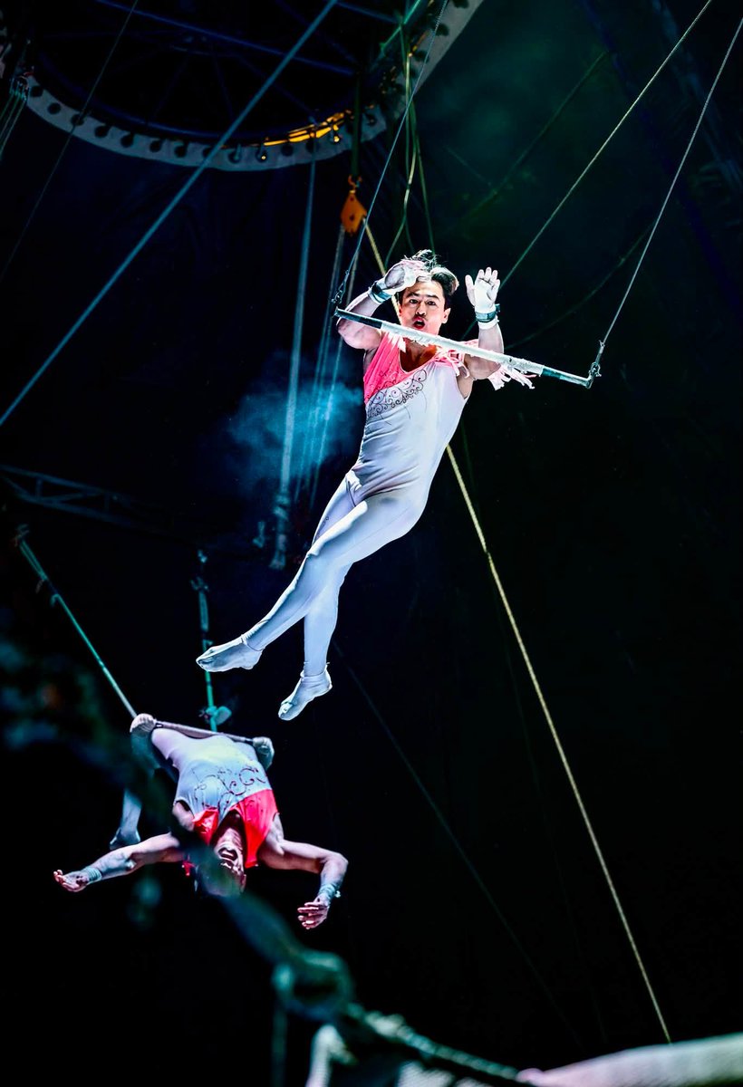 mclarenscircus's tweet photo. Explore the wonders of #McLarenCircus Traditional Show happening in #Durban until 19 July๐ช๐๐ฆ๐ฏ๐ด๐ฉ๐คก๐ฉ๐ฅณโค๏ธ
Coming Soon to #TheBluff #Chatsworth & #Maritzburg #eThekwini #KZN
MyDifference PLUS Maboe Morocco King Mbappe #GoTymeThursday
Buy Tickets Online: https://t.co/Y5XPaa1RcI https://t.co/LxbmVp5oud