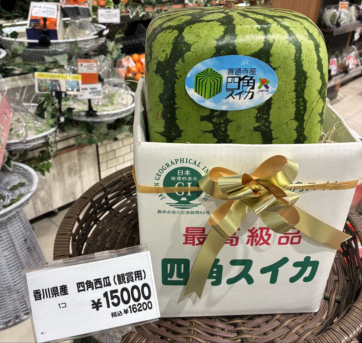 kenzou007's tweet photo. 観賞用って食べられないの？ https://t.co/oFwyK6pMFP