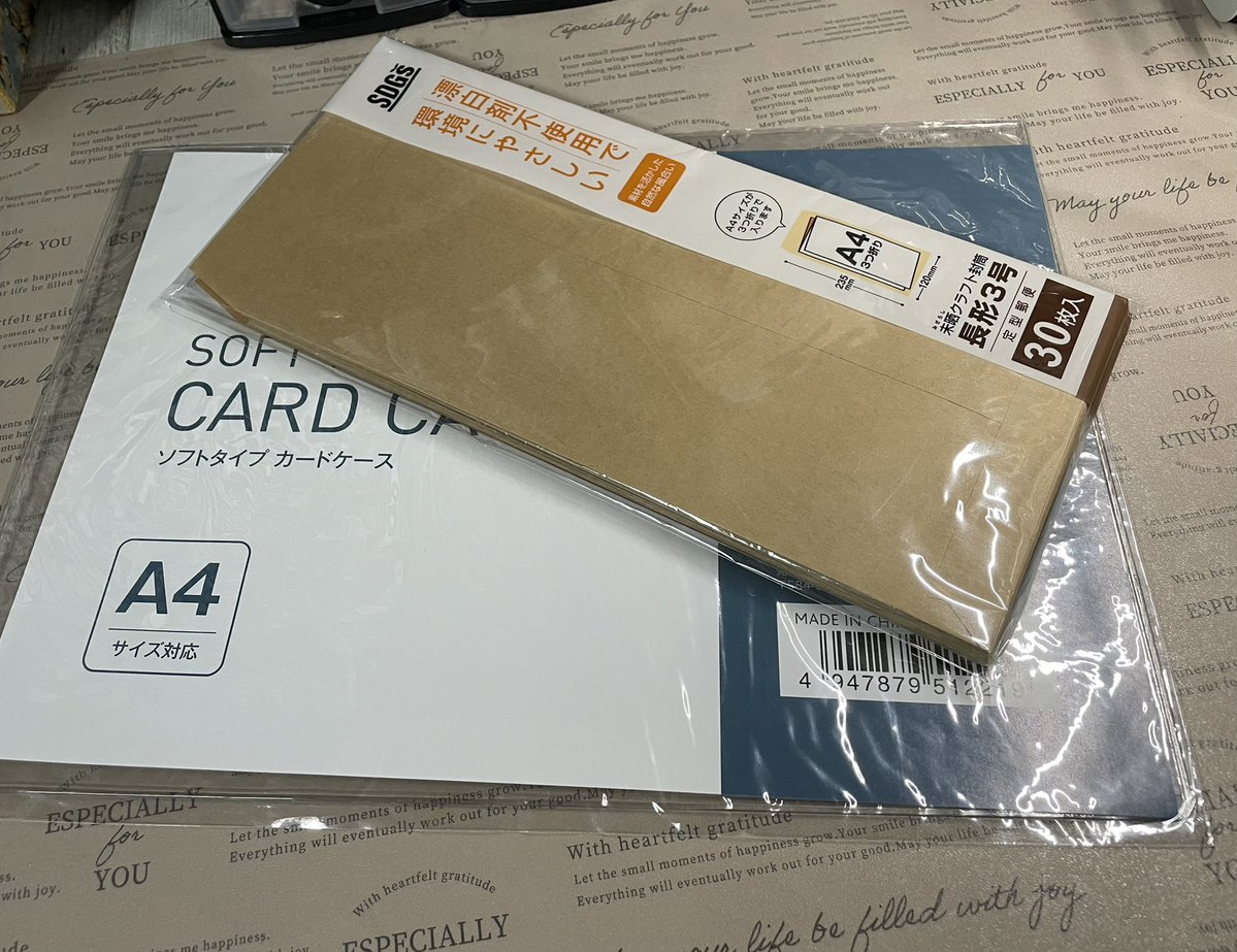 片付けしてたらいつ買ったか覚えてない軟質カードケース出てきたから何