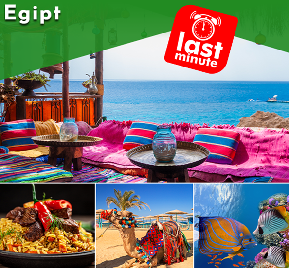 KlassTour2's tweet photo. ⏰599 euro: 1 Decembrie - sejur Hurghada (avion + 7 nopti hotel 5* + AI) ✈ - https://t.co/kIrCDBjUbq https://t.co/wNDalc8J8i