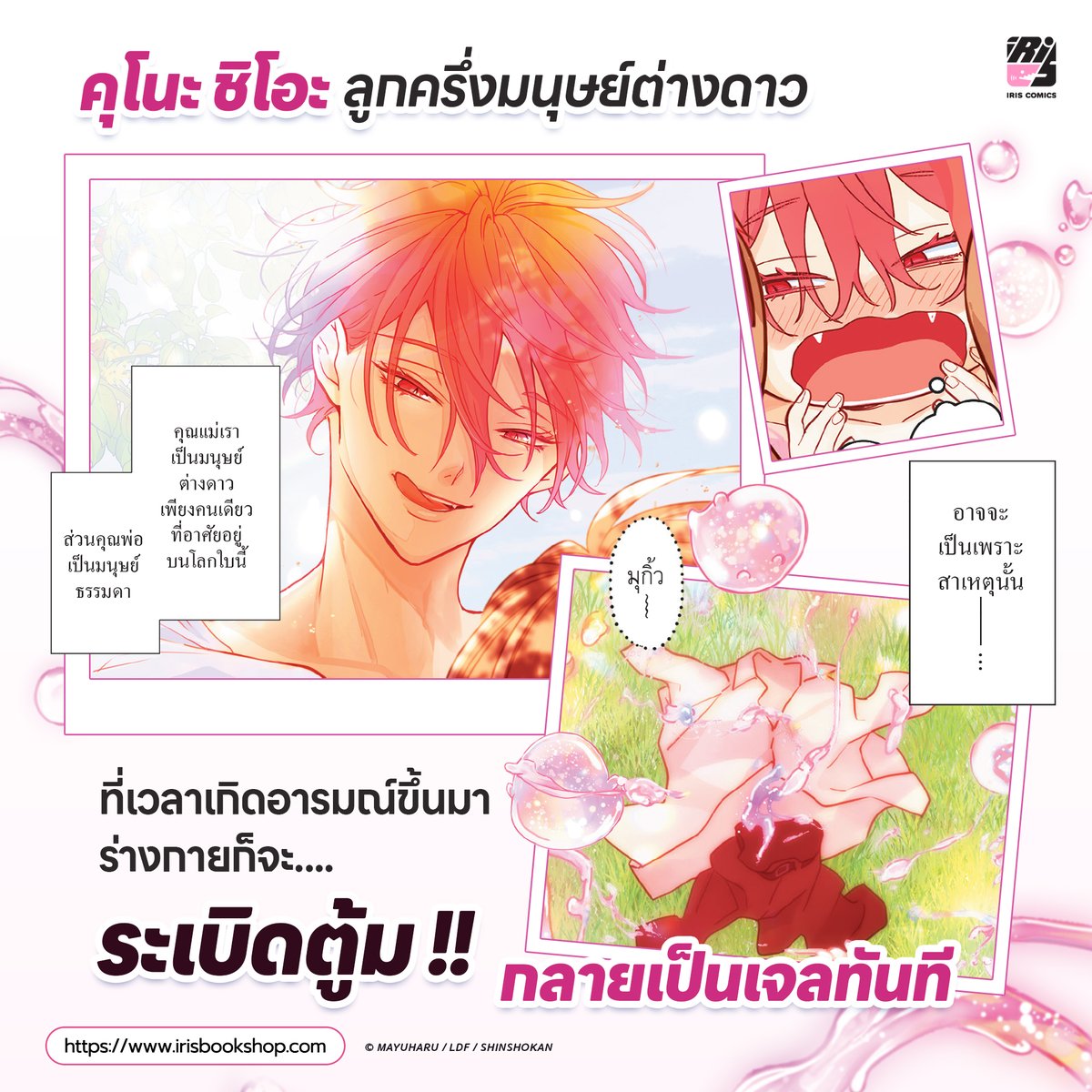 IRISxSHRK's tweet photo. #ถ้าผมอายจะละลายแล้วนะ
#ybookfair11

- 6 เล่มจบ (ภาพสี)
- แนว : Love Romance
- มี E-Book https://t.co/JbsmBD7nKo