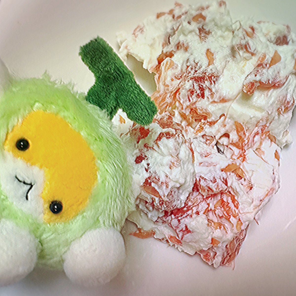 ぱむぱむ🐹🐟 (@pamupamu__u) / Posts / X