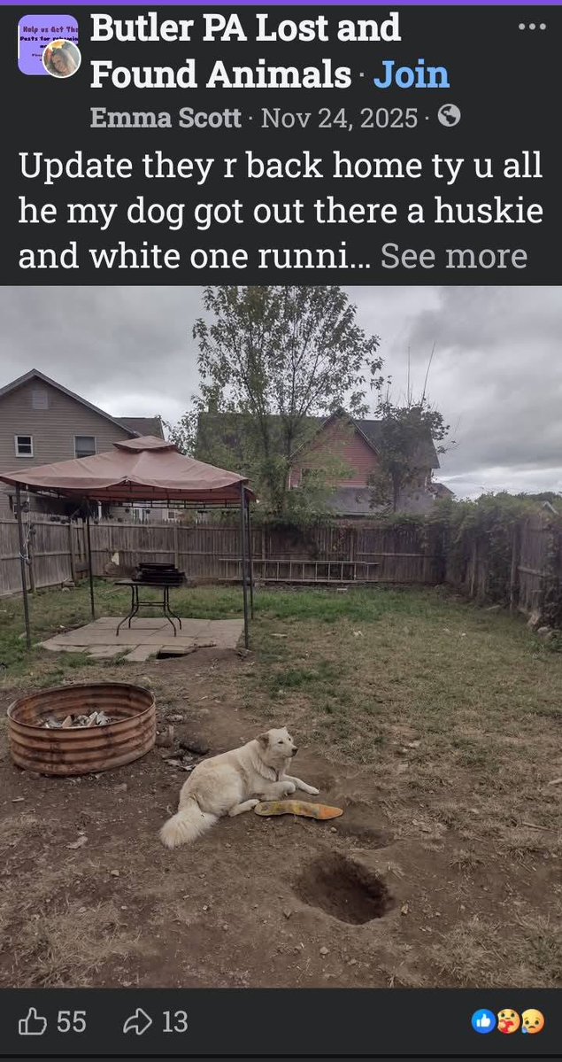 ButlerShamePA's tweet photo. Emma Scott is the stupidest dog I have ever seen. She cannot keep her dogs contained for the life of her. https://t.co/zm5J24R7kk