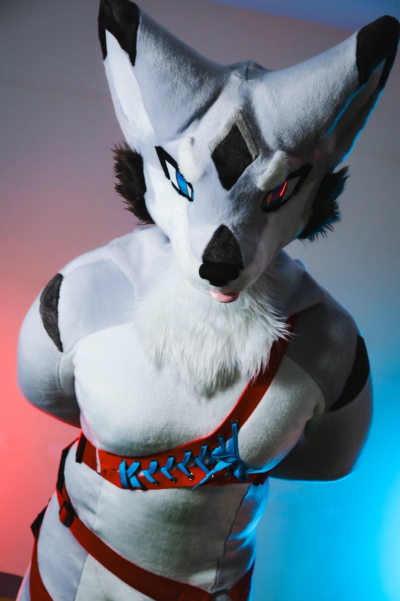 Fox_pups's tweet photo. 繼續多多指教啦 ~🦊🤣

#FursuitFriday

🧶：@KMN_NANO 
攝影：@tankaku0924  / @DD_Woof https://t.co/8Wu2zUSf0A