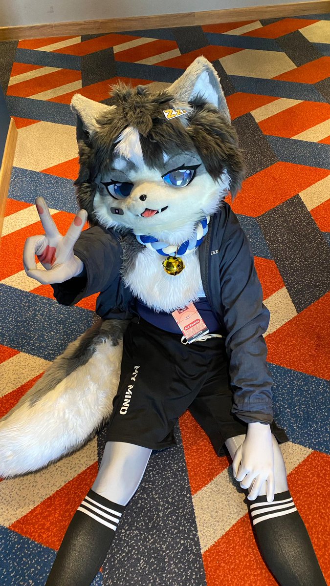 AroFursuit's tweet photo. FIRST FURCON ✨ IWAG 2026

thank you for all the good memories, I will never forget having a good time with you all 😘 

#FursuitFriday #IWAG2026 #IWAG https://t.co/P3OF23OzIp