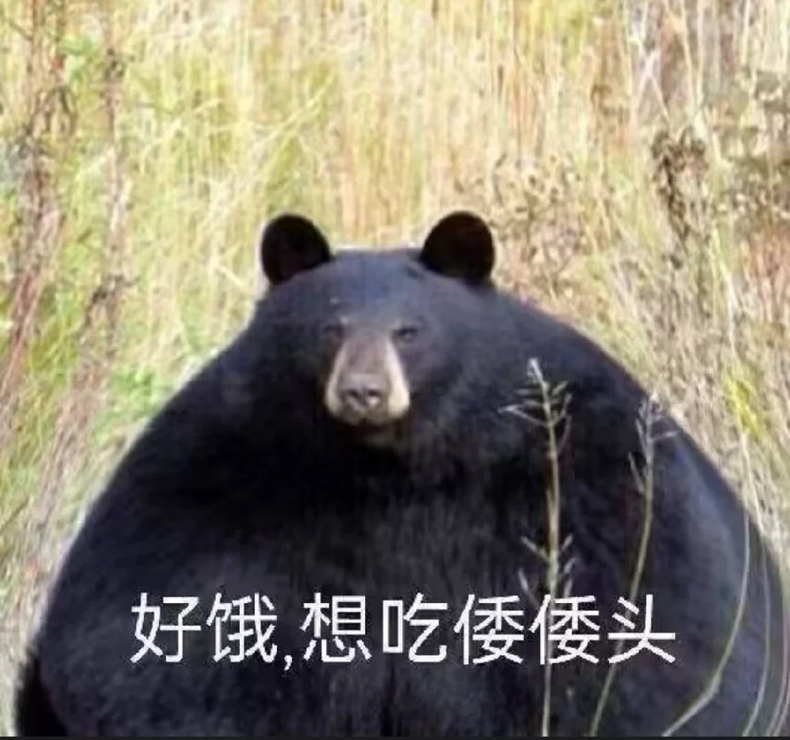 Farwinter67's tweet photo. @caonimaznz @mwiho765798 https://t.co/b9glOuYMz3