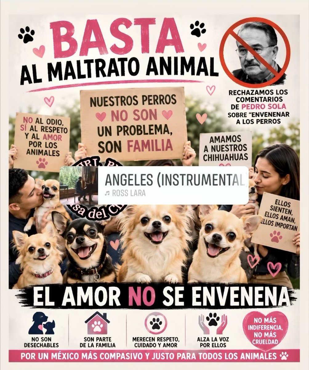 lisamayrin's tweet photo. Aquí te hablan, ser del mal.
No eres popular por los chismes que escupes a diario, malvado 👿 
@tiopedritosola 🤬 #ElAmorNoSeEnvenena 
#BastaAlMaltratoAnimal https://t.co/L3wmge5xiJ