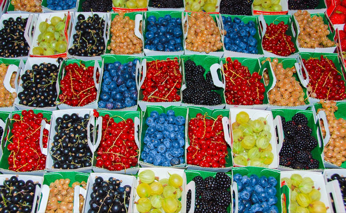 BHMB6583's tweet photo. Dag 10 van #juli_Vakantie_kiek  
#Zomerfruit
@dolly35161448 https://t.co/q4zWfmkEHm