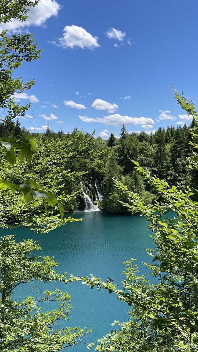 PlitviceLakesNP's tweet photo. “Nature is not a place to visit. It is home.” - Gary Snyder 🌿💚

📷 Balázs Balazsin https://t.co/nXcN0DR3FZ