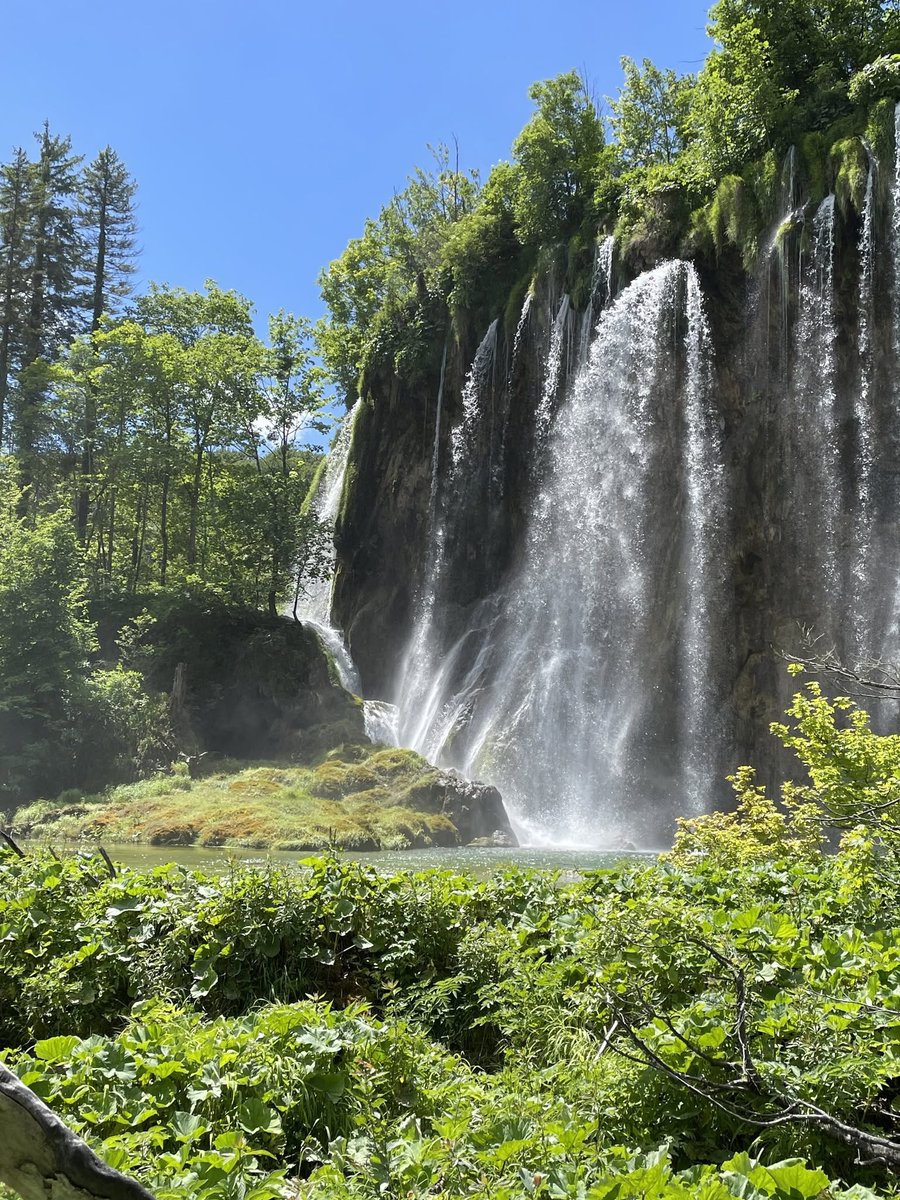 PlitviceLakesNP's tweet photo. “Nature is not a place to visit. It is home.” - Gary Snyder 🌿💚

📷 Balázs Balazsin https://t.co/nXcN0DR3FZ