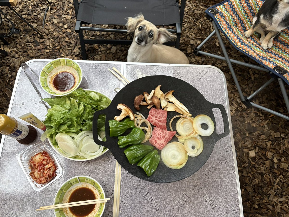 Amy76525507's tweet photo. 科目試験の後、富士山近くのキャンプ場で飲みキャン🍻🏕️してきました🙌
高規格のキャンプ場で2泊したので、ゆっくりできて楽しかった😃

キャンプ中、ほとんど勉強できなかったので、挽回しなくては🤣✊ https://t.co/2XvAJD8M1c