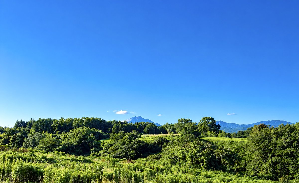 ajimuyose's tweet photo. 前売チケット、沢山のご予約ありがとうございます。
おかげさまで、予定の席数を超え、大入りでございます。

明日【１１日　朝９時までに申込み】で札止め、前売販売を終了いたします。当日券の販売もございません。

５回目にしてはじめてです。心より感謝申し上げます。 https://t.co/etNFAmFqzE