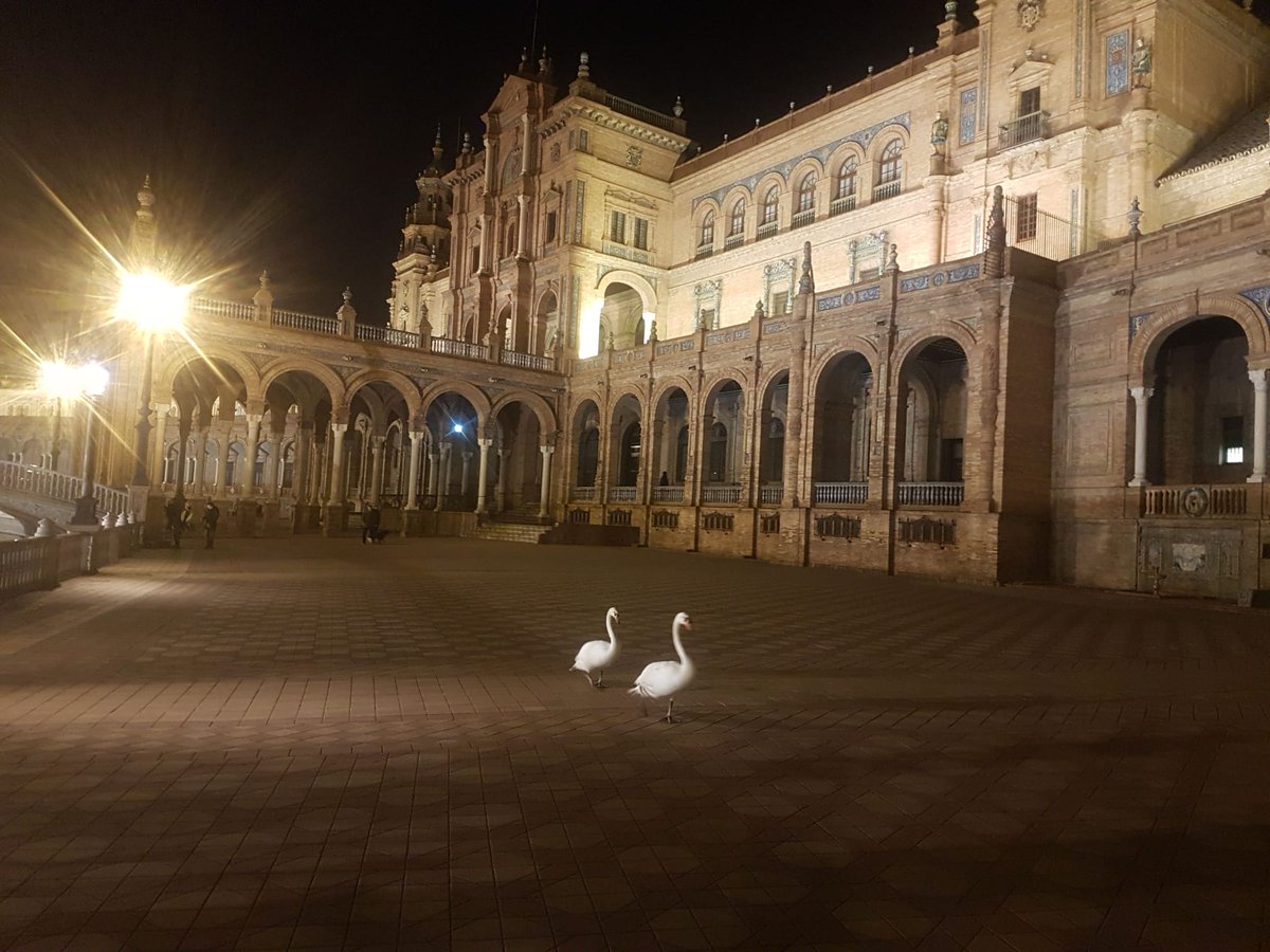 DavidLp32705032's tweet photo. Es una verdadera pena q Sevilla siga degradándose a este paso ante la pasividad del Ayuntamiento de Sanz y de la Consejería de Cultura de Patricia del Pozo. Ojalá la Plaza de España dejara de ser prostituida para lucro de particulares y retornara al uso para el q fue concebida. https://t.co/drC5r1W7w5