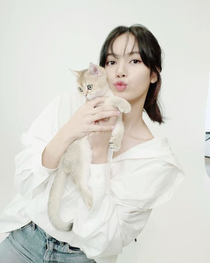 TheePopCore's tweet photo. Today is National Kitten Day. https://t.co/Y0FvucYdU3