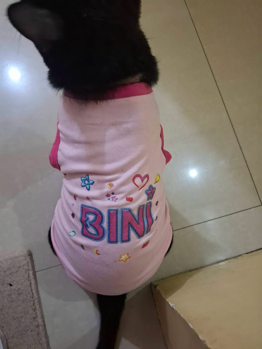 Jho_amity's tweet photo. BINI LING AND BINI TON 😩 ang fluffy ni lingling accckkkk https://t.co/Pnx1jUITZj