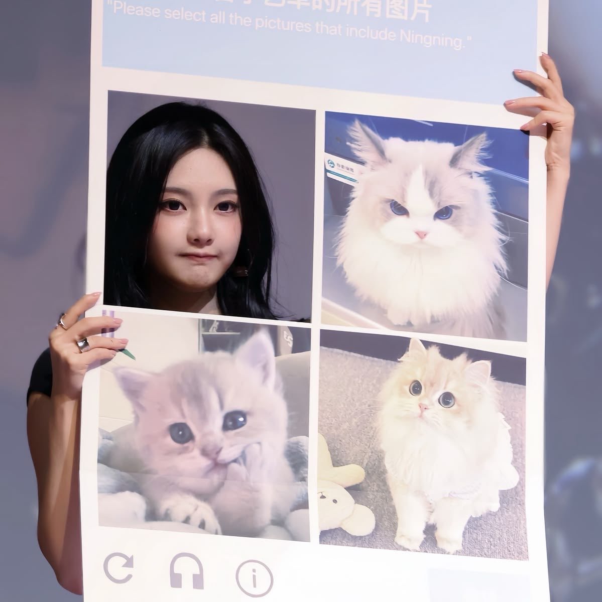 ning2pics's tweet photo. happy ningkitten day🐱 https://t.co/xAzXsE0ugR